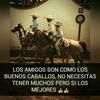 estebangonza555